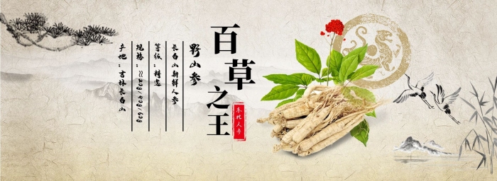 之王養(yǎng)生補(bǔ)品人參首頁海報(bào)

