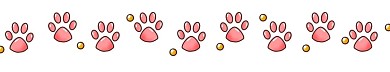 貓咪腳印分割線插畫(huà)