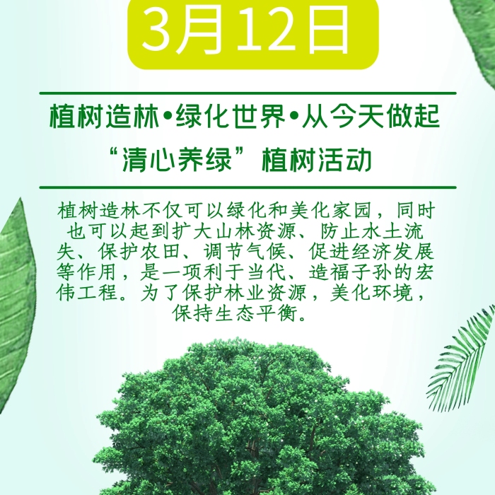 植樹造林簡約宣傳工藝環(huán)保展架
