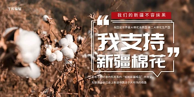 支持新疆棉花红色简约展板