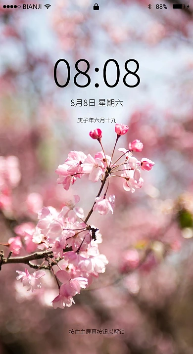 春天盛开的桃花杏花2