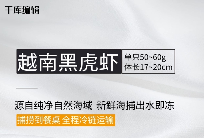 單只體長第件半價限時特價虎蝦海報
