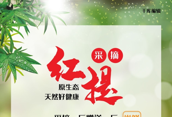 維生素采摘紅提綠色簡約海報

