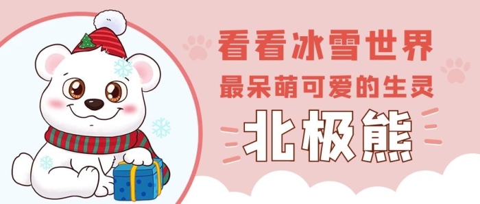 北極萌熊粉色卡通公眾號(hào)首圖
