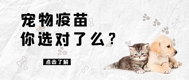 寵物疫苗狗狗 小貓白色小清新手機(jī)配圖