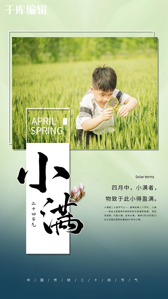 小滿節(jié)氣綠色簡約海報