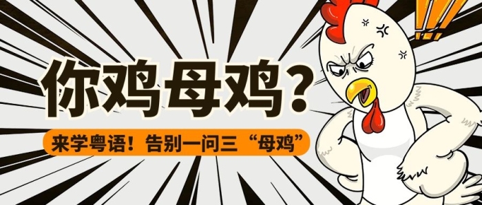 你雞母雞黑白卡通漫畫風(fēng)公眾號(hào)首圖

