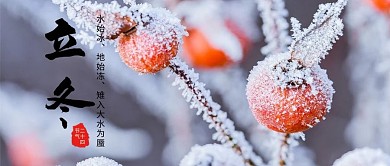 千庫編輯原創(chuàng)立冬節(jié)氣野果紅色寫實攝影風(fēng)景公眾號首圖