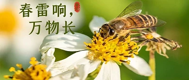 春雷响万物响蜜蜂彩色简约公众号首图