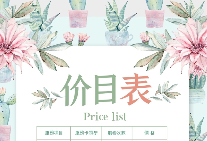 服務(wù)項(xiàng)目美胸豐韻美容價(jià)目表宣傳海報(bào)

