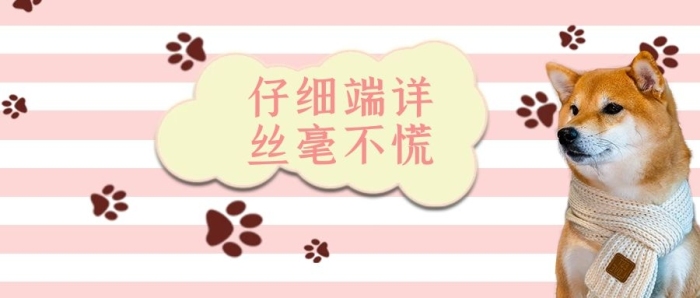 勾能壞心眼創(chuàng)意柴犬粉色趣味公眾號首圖

