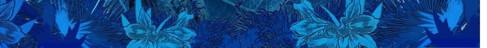 越是現(xiàn)代網(wǎng)-秘密花園唯美房地產(chǎn)海報(bào)

