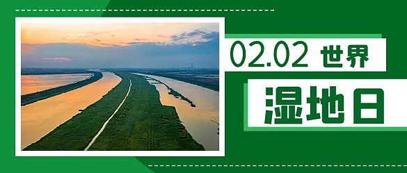 世界濕地日攝影圖公眾號首圖