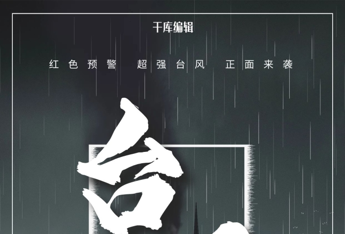 注意事項臺風(fēng)黑色氣象臺風(fēng)來襲海報

