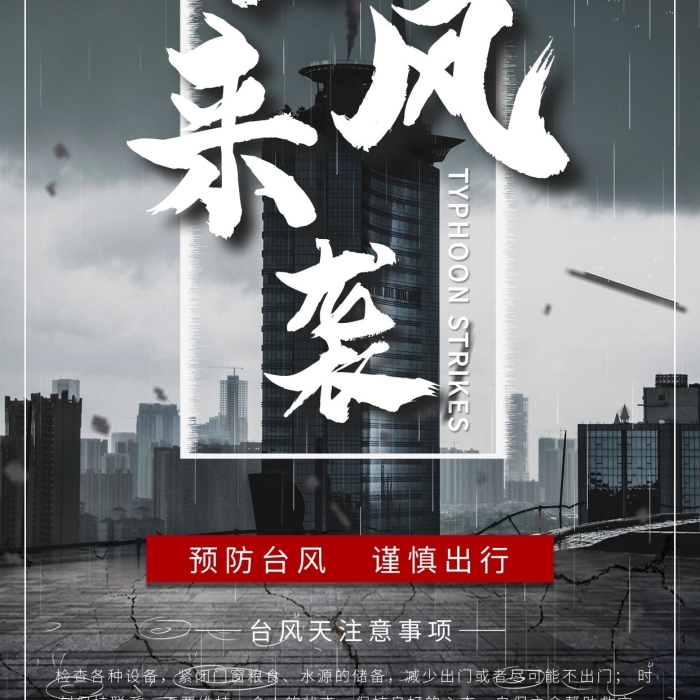 注意事項臺風(fēng)黑色氣象臺風(fēng)來襲海報
