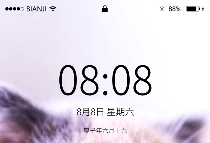 屏幕按鈕寵物貓狗萌動物
