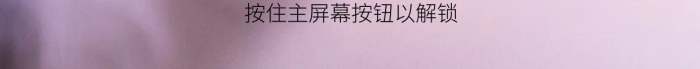屏幕按鈕寵物貓狗萌動物
