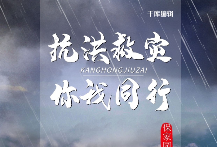 你我同行保家園防災(zāi)冷色系簡約海報
