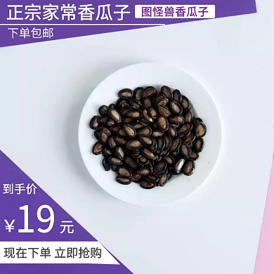 精品家常香瓜子淘宝主图
