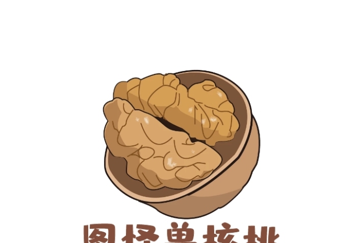 頭像logo設(shè)計(jì)核桃通用干果	