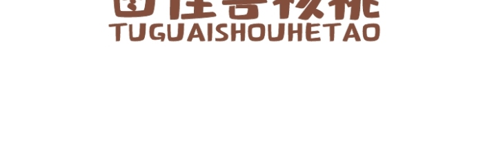 頭像logo設(shè)計(jì)核桃通用干果	