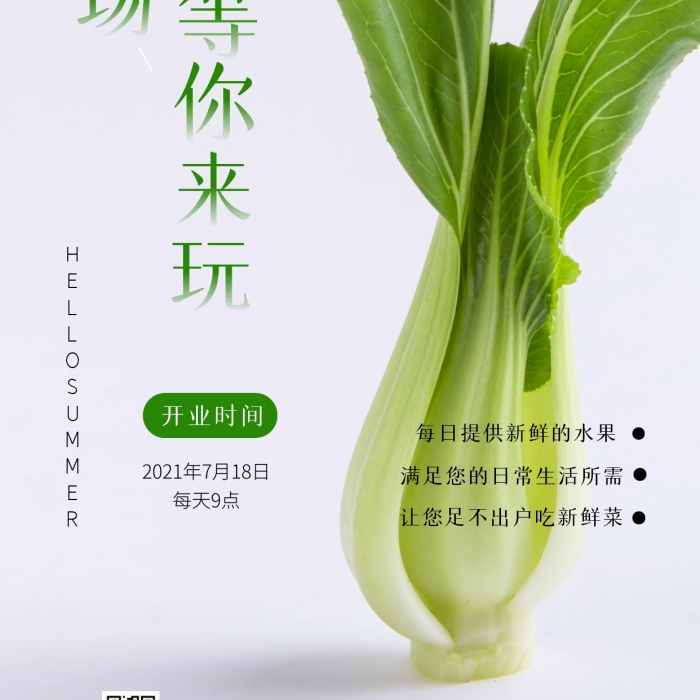 戶外菜場便民活動簡約簡潔攝影圖海報