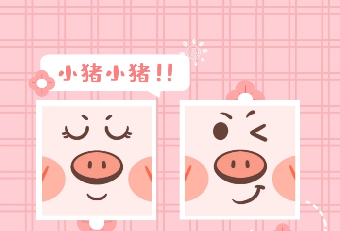 情侶頭像趣味可愛小豬微信頭像