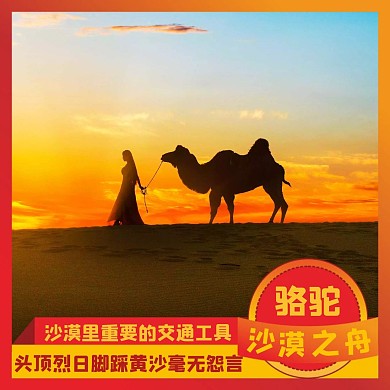 駱駝紅色黃色簡約沙漠紅包頭像