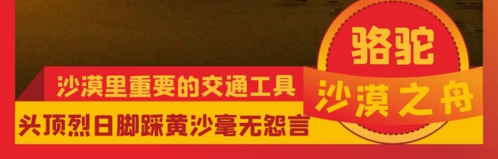 駱駝紅色黃色簡(jiǎn)約沙漠紅包頭像