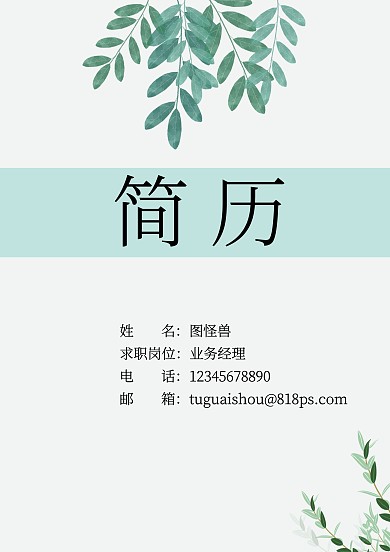 簡(jiǎn)約綠色保險(xiǎn)公司求職簡(jiǎn)歷封皮