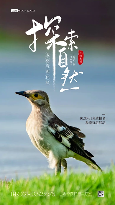 探索自然主题自然风景简约摄影图海报