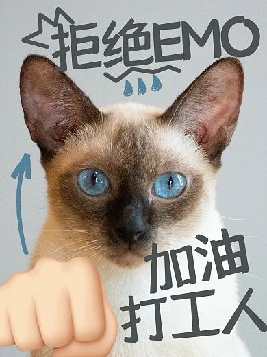 趣味加油打工人PLOG