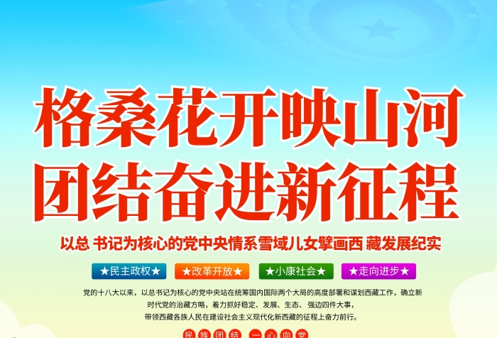 格桑花开映山河团结奋进新征程党建竖版海报