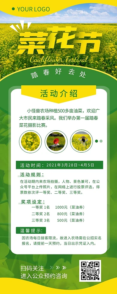 踏春菜花节宣传介绍简约营销长图设计