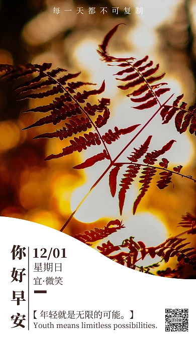 温馨风十二月早安日签手机海报