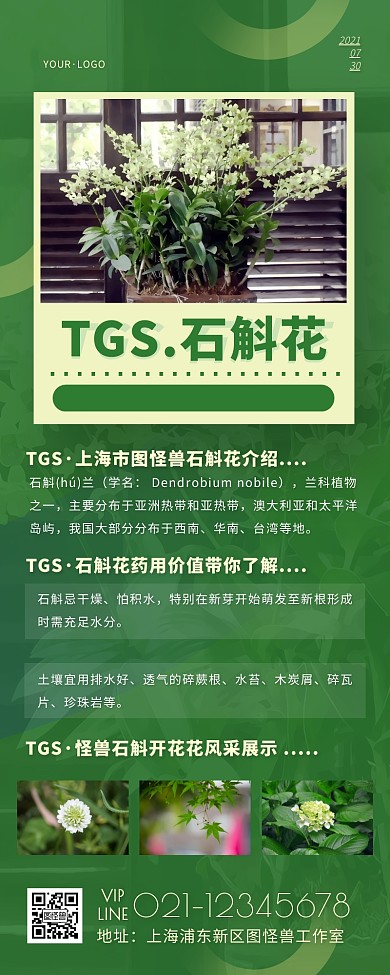 大氣清新綠色質(zhì)感石斛花介紹營(yíng)銷長(zhǎng)圖
