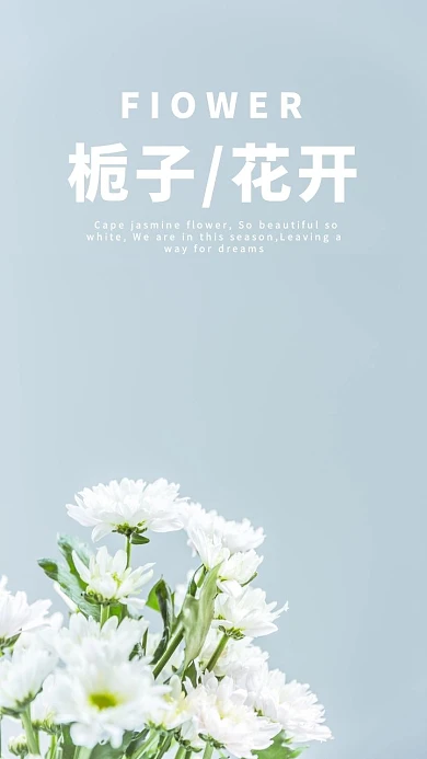 浅蓝色简约栀子花手机壁纸