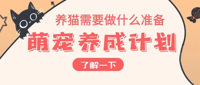 杏色公眾號(hào)封面首圖簡潔卡通時(shí)尚