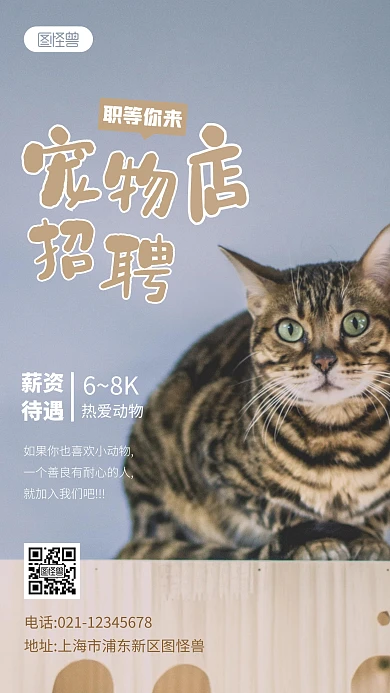 宠物店招聘人事简约宣传摄影图海报