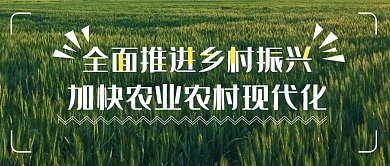  全面推进乡村振兴公众号封面首图
