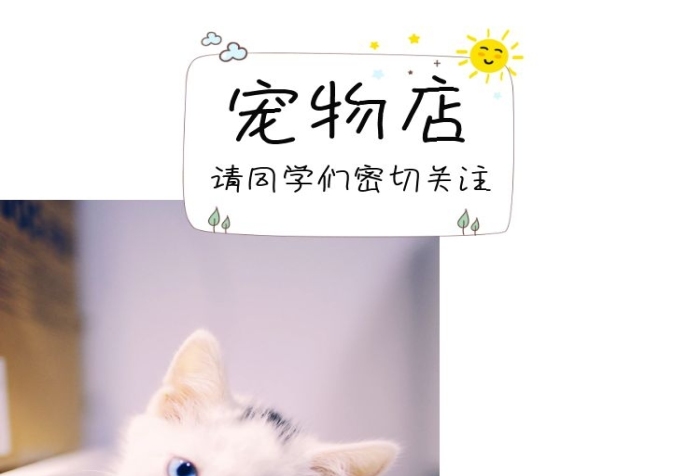 寵物貓狗電商淘寶可愛軟萌詳情頁(yè)模板