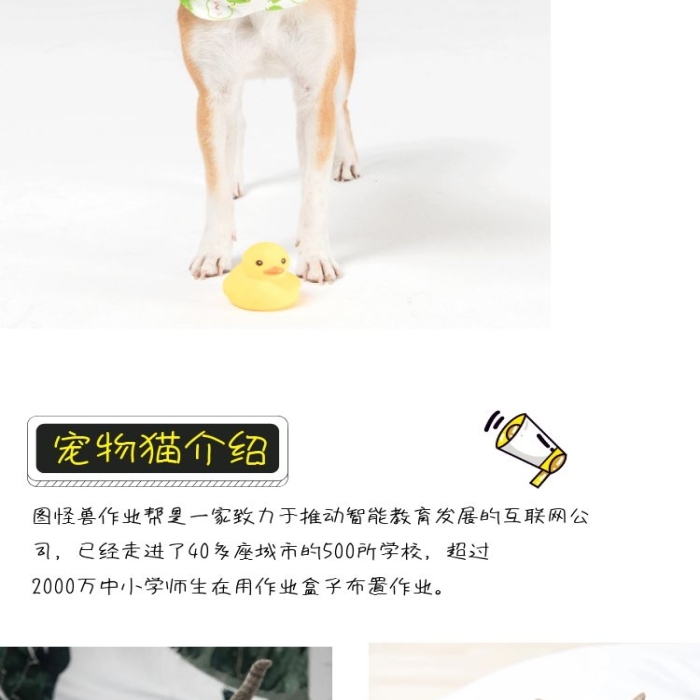 寵物貓狗電商淘寶可愛軟萌詳情頁(yè)模板