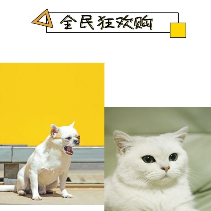 寵物貓狗電商淘寶可愛軟萌詳情頁(yè)模板