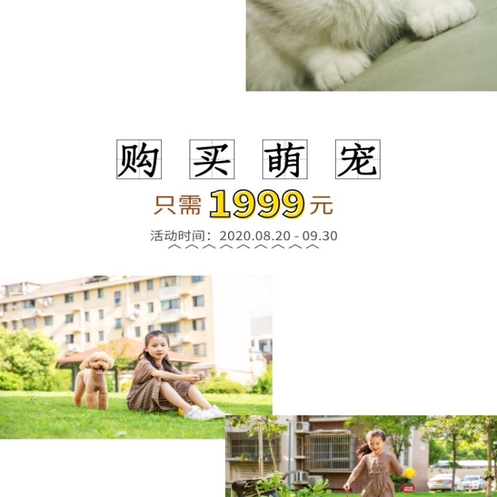 寵物貓狗電商淘寶可愛軟萌詳情頁(yè)模板