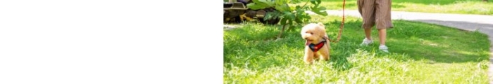 寵物貓狗電商淘寶可愛軟萌詳情頁(yè)模板