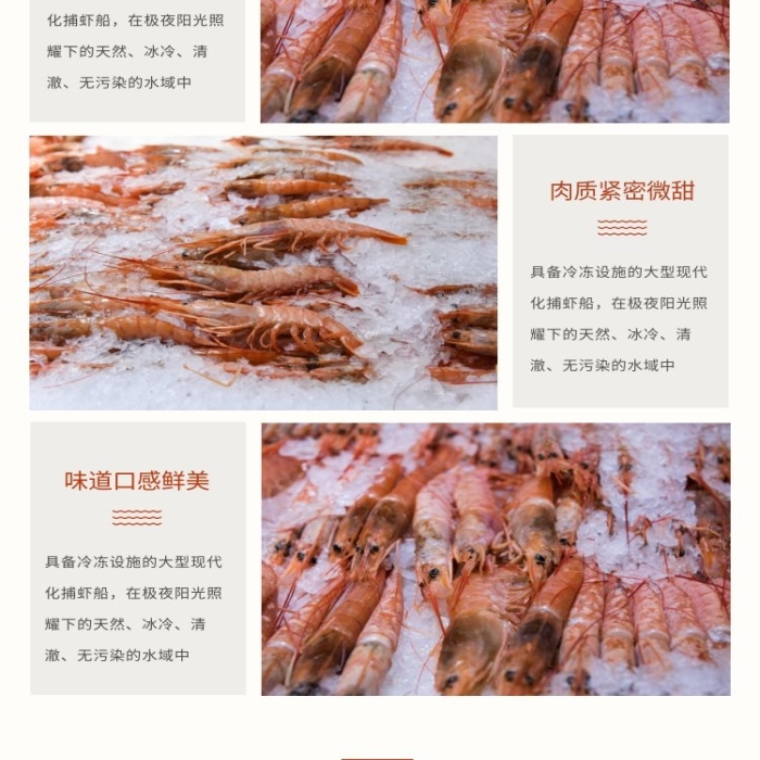 北極甜蝦幾何簡約橙色食品詳情頁