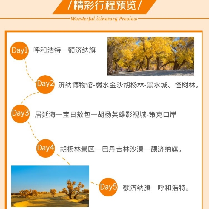 胡杨林旅游黄色简约详情页