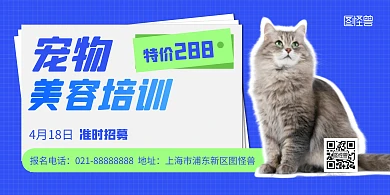 宠物美容师培训招生简约风横版海报