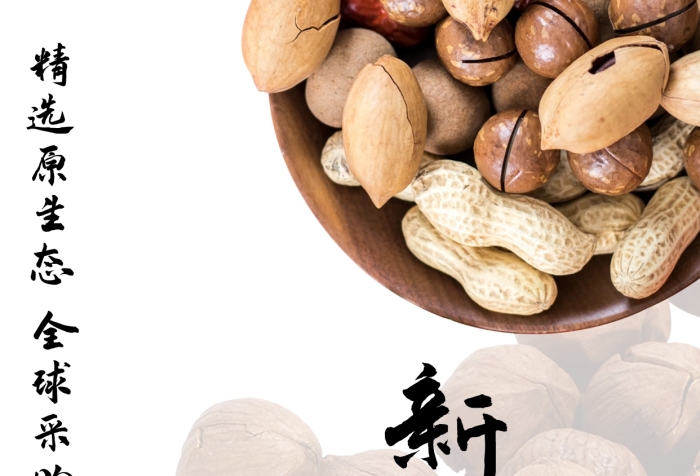 簡約攝影印章手機海報新疆干果