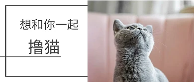 情人告白公众号封面